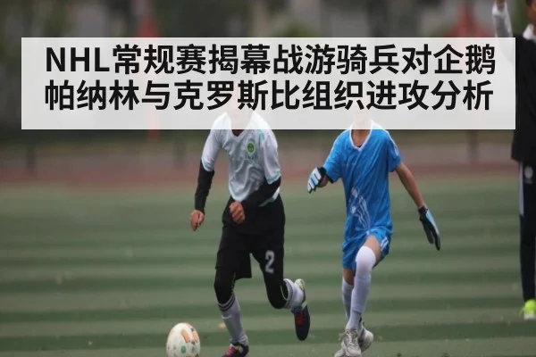 NHL常规赛揭幕战游骑兵对企鹅 帕纳林与克罗斯比组织进攻分析